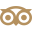 social icon tripadvisor
